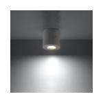Orbis Downlight Plafondlamp, modern design, industriële stijl, cilindrische vorm, van beton, 1 x verwisselbare GU10-gloeilamp, grijs, 10 x 10 x 10 cm