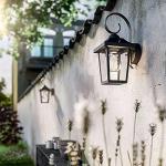 myGarden buitenwandlamp Buzzard, E27, zwart