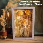 Rustikale Schattierbox aus Naturholz mit Lichtern, LED-beleuchtete Vitrine für Weinkorken, Tickets und kreative Ausstellungen, künstlerische Präsentationen, 20,3 x 27,9 cm