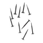Smeenagels, 5 cm lang, set van 10 stuks, gesmeed siernagels, ijzeren nagels, antieke zwart