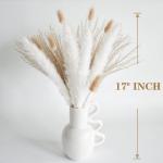 100 stuks wit pampasgras, natuurlijk gedroogd pampasgras, wit pampasgras, gedroogde bloemen, rietgrasboeket voor bruiloft, boho, bloemendecoratie thuis, rustiek boerderijfeest