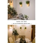 Mason Jar Licht,(2 stuks), rustieke wanddecoratie, lichtketting in glas, groene namaakplant, woonkamer houten decoratie met warmwitte tuinhanglampen voor buiten (afstandsbediening)