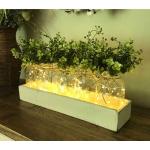 Mason Jar Licht,(2 stuks), gang decoratie anddecoratie, groene nepplant, lichtketting in glas, woonkamer houten decoratie met glas, warm wit, tuinhanglampen voor buiten (groene pla