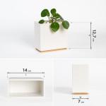 Alma Wandvazen, moderne hangende bloempotten voor aan de muur, 3-delige plantenpotset van hoogwaardig hars voor kamerplanten, kunstplanten, bloemen en meer, crème