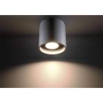 Orbis Downlight Plafondlamp met cilindrische kap, plafondlamp, woonkamer, eetkamer, lamp, keuken en hal, van aluminium in grijs, 10 x 10 x 10 cm