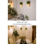 Mason Jar Licht,(2 stuks), gang decoratie anddecoratie, groene nepplant, lichtketting in glas, woonkamer houten decoratie met glas, warm wit, tuinhanglampen voor buiten (groene pla