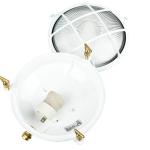 Buitenlamp Wandlamp Messing Glas Ø 21 cm E27 RVS IP64 Witte Huis Tuin Balkon Wandlamp Buiten