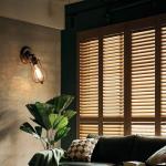 Industriële wandkandelaar, vintage verlichting, verstelbare wandlamp, rustieke draad, metaal, kooi, wandlamp, Edison-stijl, antieke lamp, verandaallamp (zonder gloeilamp) (roest)