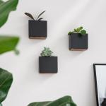 Alma Wandvazen, moderne hangende bloempotten voor aan de muur, 3-delige plantenpotset van hoogwaardig hars voor kamerplanten, kunstplanten, bloemen enz., zwart