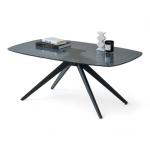 Elias Salontafel in zwart, buitengewone salontafel met metalen frame voor je woonkamer, metaal, 110 x 44 x 70 cm
