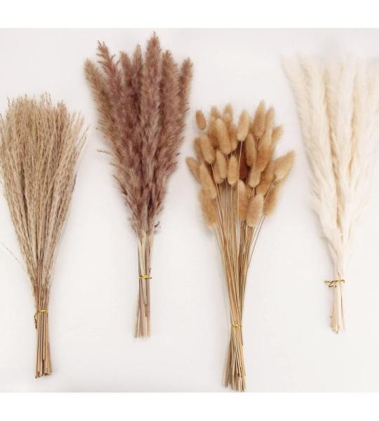 Gedroogde pampasgrasdecoratie, 100 stuks pampasgras met gedroogde bloemen, rietgrasboeket voor bruiloft, boho-bloemen en tafeldecoratie thuis, rustieke boerderijfeest