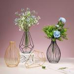 Metalen frame reageerbuisvaas, moderne glazen vaas op tafel voor hydrocultuur kweekplanten huis tuin bruiloft decoratie