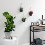 Wandvazen -Ellie- | hangende keramische bloempotten 3-delig | wanddecoratie voor kamer, balkon en tuin | grafiet (mat)