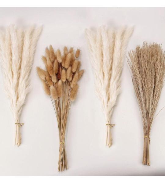100 stuks wit pampasgras, natuurlijk gedroogd pampasgras, wit pampasgras, gedroogde bloemen, rietgrasboeket voor bruiloft, boho, bloemendecoratie thuis, rustiek boerderijfeest