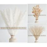 100 stuks wit pampasgras, natuurlijk gedroogd pampasgras, wit pampasgras, gedroogde bloemen, rietgrasboeket voor bruiloft, boho, bloemendecoratie thuis, rustiek boerderijfeest
