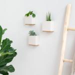 Alma Wandvazen, moderne hangende bloempotten voor aan de muur, 3-delige plantenpotset van hoogwaardig hars voor kamerplanten, kunstplanten, bloemen en meer, crème