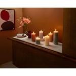 4 stuks Vibrant Violet (paars) rustieke Pillar Candles, 6,9 x 19,5 cm, premium Europese kwaliteit, natuurlijke eco-vriendelijke op planten gebaseerde was, ongeparfumeerd driplex sm