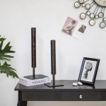 Zwart Single Stem Vaas - 39,5/35cm Tall Grote Bloemenvaas Set van 2 Moderne Metalen voor Pampas Gras Kunstmatige Plant Twijgen Nordic Minimalistische Vaas voor Tafel Woonkamer Home