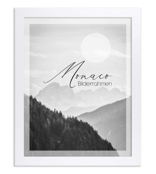Monaco Fotolijst, 25,1 x 31,5 cm, wit hoogglans, fotolijst, metaallook, geborsteld aluminium, posterlijst, verwisselbare lijst