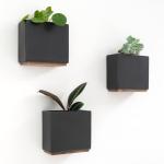 Alma Wandvazen, moderne hangende bloempotten voor aan de muur, 3-delige plantenpotset van hoogwaardig hars voor kamerplanten, kunstplanten, bloemen enz., zwart
