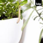 Hangende bloempotten, set van 3 stuks, keramische hanglampen, wandvazen voor planten, hangende bloempotten voor binnen, wandplantenhouder, Scandinavische decoratie, wanddecoratie v