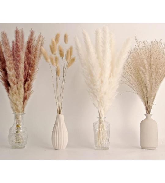 65 stuks pampasgras decoratie, incl. pampasfloral, gedroogd riet gras en gedroogde hazelstbloemen. Natuurlijke gedroogde pampasgras boeketten voor boho-bruiloft- en woondecoraties
