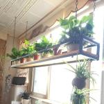 Decken-Blumentopf-Gestell Hängender Blumenständer Schwebende Regale Mit Massivholzplatte Und Eisenrahmen, Hölzernes Hängeregal Für Wohnzimmer Restaurant Bar Blumenladen Balkon