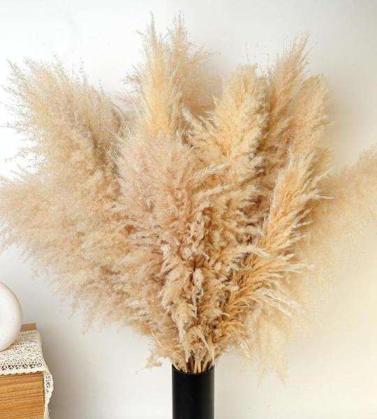 Gedroogde pampasgrasdecoratie XXL, 10 stuks, groot, rietgrasboeket voor bruiloft, boho-bloemen en tafeldecoratie thuis, rustieke boerderijfeest (100 cm)