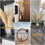 Gedroogde pampasgrasdecoratie XXL, 10 stuks, groot, rietgrasboeket voor bruiloft, boho-bloemen en tafeldecoratie thuis, rustieke boerderijfeest (100 cm)
