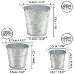 3 stuks zilverkleurige kleine emmer, 3 maten, verzinkt ijzer, mini-emmer met bloemenpatroon en handvat, binnen/buiten, voor huis en tuin, voor as, reinigingsmiddelen en bloemen