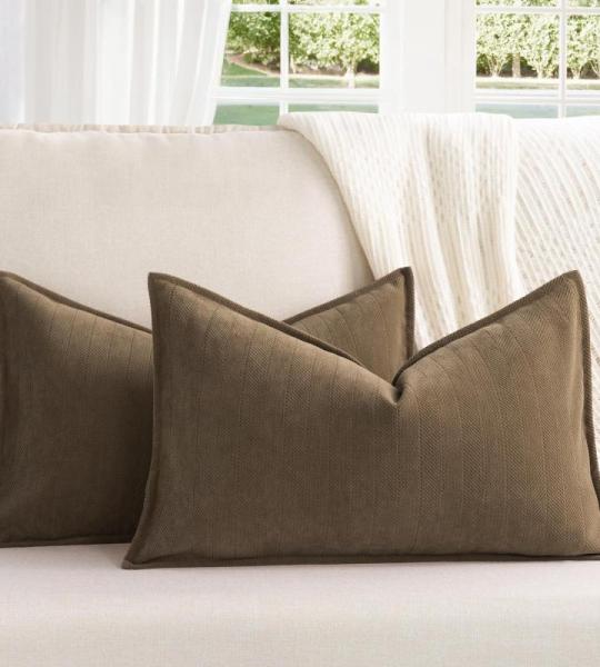 Sofa Set van 2 Chenille Sofa Kussens met Elegant Design, Zacht en Luxe Decoratief Kussen voor Sofa, Bed en Woondecoratie