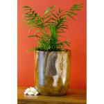 Teakhouten bloempot - 24 cm echt hout bloempot van wortelhout voor woonkamer, balkon, terras of tuin - rustieke plantenpot van hout