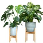 Houten plantenstandaard, set van 2 bamboe bloemenstandaard, verstelbare houten bloemenkruk, voor potten tot Ø 30,5 cm, bloempotstandaard, hoogte: 35,5 cm, plantenstandaard met pot