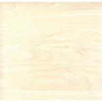 Plakfolie, esdoorn houtlook, wit, 45 cm x 3 m, dikte 95 μ, zelfklevende meubelfolie, decoratiefolie, behang, keukenfolie, pvc zonder ftalaten, made in EU
