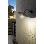 Buitenwandlamp Melgoa, 1 lichtpunt, wandlamp van verzinkt staal en glas, kleur: zwart, fitting: E27, IP44