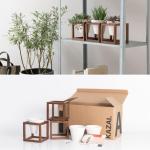Wandvasen -Lille- | Hängende Blumentöpfe in Echtholzrahmen | 3-teiliges Übertopf-Set aus Keramik und Holz für Wand, Tisch und mehr | Walnuss-Braun