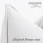 Sofa Kussenhoezen Set van 2 Chenille Sofa Kussens met Elegant Design, Zacht en Luxe Decoratief Kussen voor Sofa, Bed en Woondecoratie