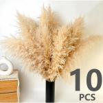 Gedroogde pampasgrasdecoratie XXL, 10 stuks, groot, rietgrasboeket voor bruiloft, boho-bloemen en tafeldecoratie thuis, rustieke boerderijfeest (100 cm)