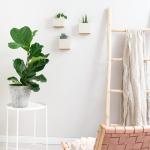 Alma Wandvazen, moderne hangende bloempotten voor aan de muur, 3-delige plantenpotset van hoogwaardig hars voor kamerplanten, kunstplanten, bloemen en meer, crème