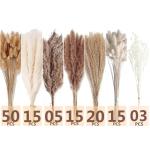 Gedroogd pampasgras-decoratie, 128 stuks pampasgras met hazenstaart-granenbloemen, rietgrasboeket voor bruiloft, boho-bloemen, thuistafeldecoratie, rustiek boerderijfeest