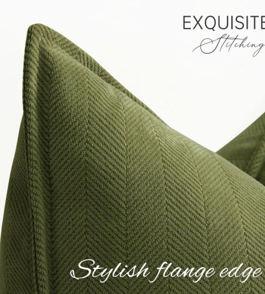 Sofa Set van 2 Chenille Sofa Kussens met Elegant Design, Zacht en Luxe Decoratief Kussen voor Sofa, Bed en Woondecoratie