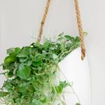 Wandvazen -Ellie- | hangende keramische bloempotten 2-delig | wanddecoratie voor kamer, balkon en tuin | wit (mat)
