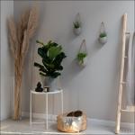 Wandvazen -Ellie- | hangende keramische bloempotten 3-delig | wanddecoratie voor kamer, balkon en tuin | lichtgrijs (mat)