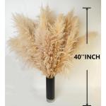 Gedroogde pampasgrasdecoratie XXL, 10 stuks, groot, rietgrasboeket voor bruiloft, boho-bloemen en tafeldecoratie thuis, rustieke boerderijfeest (100 cm)