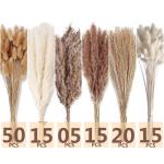 Gedroogd pampasgrasdecoratie, 120 stuks pampasgras met hazenstaarten, gedroogde bloemen, rietgrasboeket voor bruiloft, boho-bloemen, tafeldecoratie thuis, rustiek boerderijfeest 12