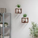 Wandvazen Lille | hangende bloempotten in echt houten frame | 2-delige bloempot set van keramiek en hout voor muur, tafel en meer | walnootbruin