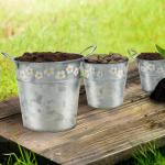 3 stuks zilverkleurige kleine emmer, 3 maten, verzinkt ijzer, mini-emmer met bloemenpatroon en handvat, binnen/buiten, voor huis en tuin, voor as, reinigingsmiddelen en bloemen