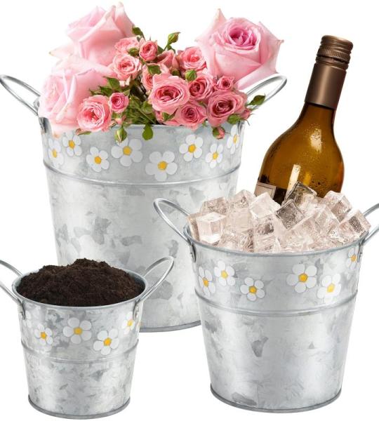3 stuks zilverkleurige kleine emmer, 3 maten, verzinkt ijzer, mini-emmer met bloemenpatroon en handvat, binnen/buiten, voor huis en tuin, voor as, reinigingsmiddelen en bloemen