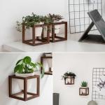 Wandvazen Lille | hangende bloempotten in echt houten frame | 2-delige bloempot set van keramiek en hout voor muur, tafel en meer | walnootbruin