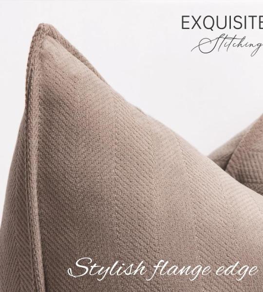 Sofa Set van 2 Chenille Sofa Kussens met Elegant Design, Zacht en Luxe Decoratief Kussen voor Sofa, Bed en Woondecoratie